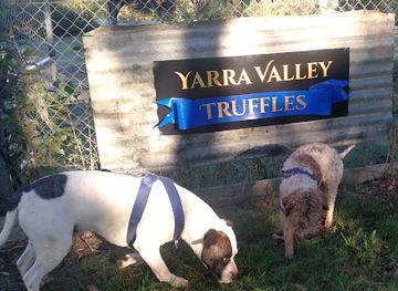 australia/yarra-valley/shop/yarra-valley-truffles
