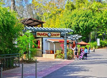 california/san-diego/balboa-park/shop/panda-shop