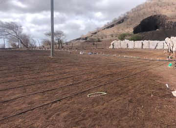 cabo-verde/praia-do-tarrafal/shop/associacao-agro-colonato