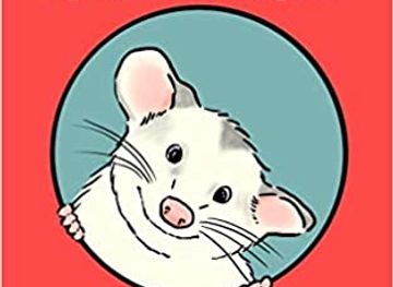 washington/tacoma/shop/rampizi