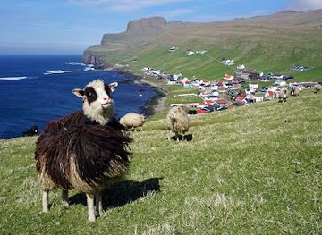 faroe-islands/suouroy/shop/sumbiar-handil