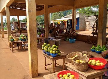 togo/mount-agou-area/shop/marche-aux-fruits-d-agou-gadzepe