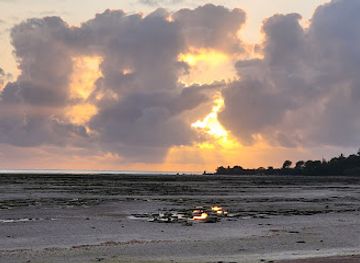 tanzania/masai-steppe/shop/pongwe-masai-shop