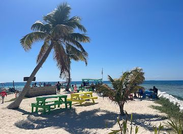 belize/coastal-plains/shop/seahorse-dive-shop