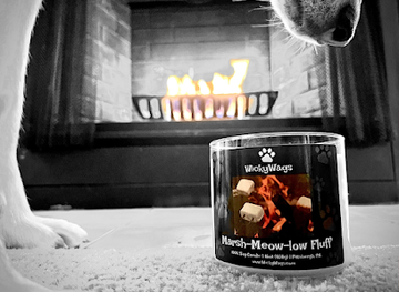 pennsylvania/allegheny-national-forest/shop/wickywags-candles