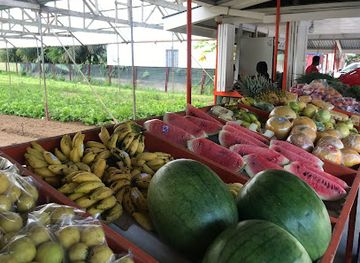 seychelles/anse-royale/shop/fruits-and-vegetables-market-bazar