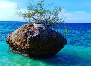 timor-leste/baucau/shop/toko-gemea