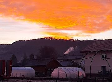 france/vosges-mountains/shop/atelier-cuir