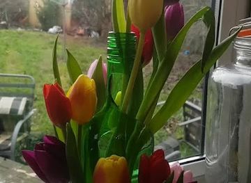 united-kingdom/nottingham/nottingham-castle/shop/catori-s-gift-shop