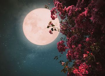 guatemala/guatemala-city/shop/moon-store