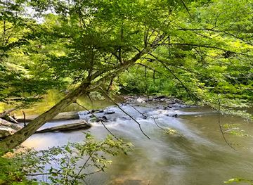 maryland/seneca-creek-state-park/shop/great-seneca-park-355