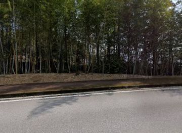 japan/shikoku-island/shop/kose-kochi