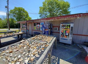 arkansas/crater-of-diamonds-state-park/shop/diamond-classics-rock-shop