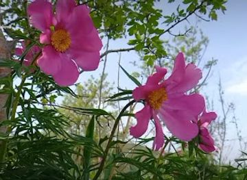 kyrgyzstan/jalal-abad-region/shop/kyrgyzstan