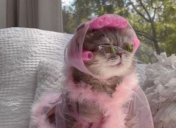 costa-rica/monteverde/shop/mishis-shop