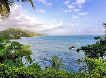 trinidad-and-tobago/toco-lighthouse/shop/toco-fishing-depot