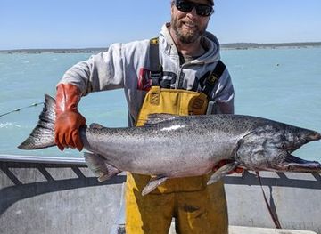 idaho/snake-river-canyon/shop/alsek-river-salmon