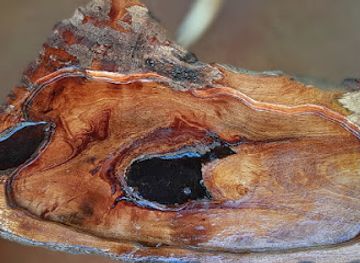 argentina/iguazu-national-park/shop/groot-artesanias