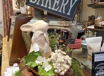 arizona/prescott/shop/modern-day-forager-mercentile