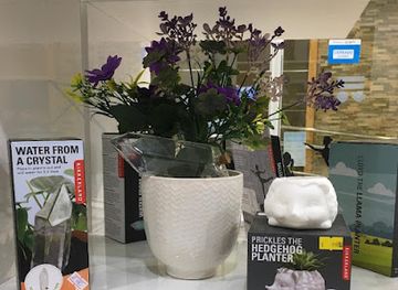 chile/valdivia/shop/portal-regalo-tienda-de-regalos-valdivia-regalos-en-valdivia