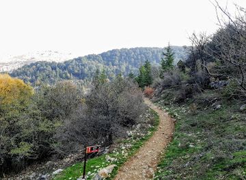 Horsh Ehden
