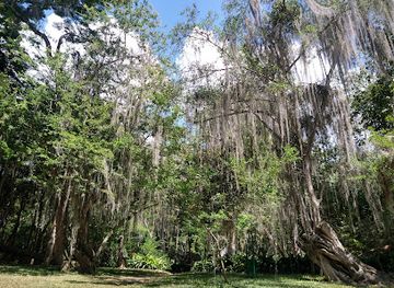 colombia/santanderes/shop/el-gallineral-natural-park