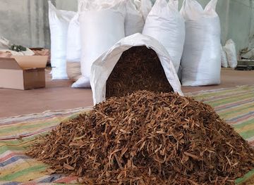 madagascar/alaotra-mangoro/shop/jm-impex-madagascar