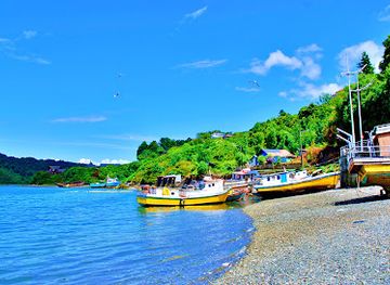 chile/los-lagos-region/shop/artesanias-con-amor-del-sur