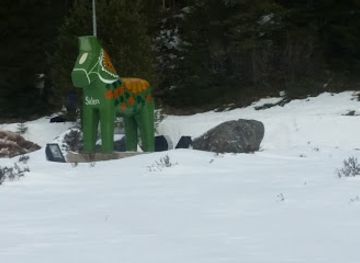 sweden/salen/shop/nya-nordic-trade-development-group-ab