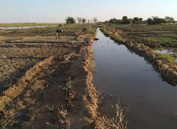 mali/sahel/shop/direction-nationale-de-l-agriculture