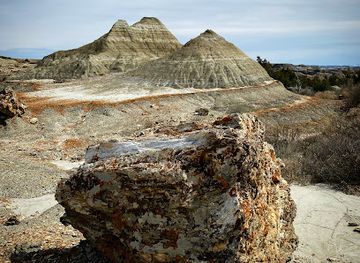 north-dakota/theodore-roosevelt-national-park/shop/petrified-forest-loop