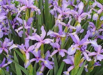 turkmenistan/karakum-desert/shop/inomjon-og-a-magazini