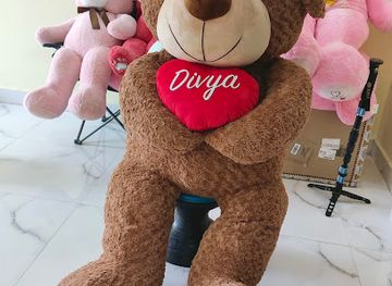 india/north-india/shop/teddyera