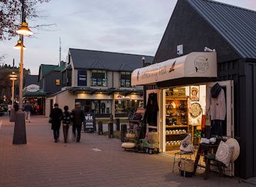 new-zealand/wanaka/shop/thieving-kea