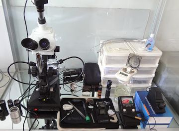 cambodia/battambang-province/shop/pailin-gemstones-express-custom-jewelry-with-natural-gemstones