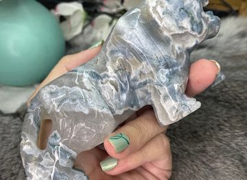 ohio/findlay/shop/the-enlightened-raven