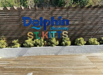 saint-kitts-and-nevis/middle-island/shop/dolphin-discovery-saint-kitts