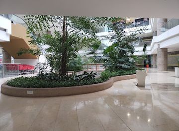 colombia/barranquilla/altos-de-riomar/shop/c-c-blue-gardens-barranquilla