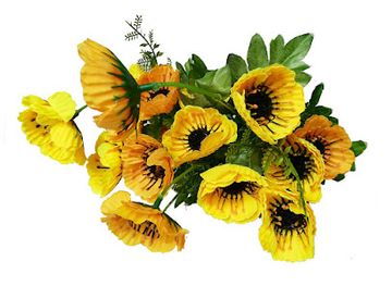 sri-lanka/sabaragamuwa-province/shop/unique-presenters