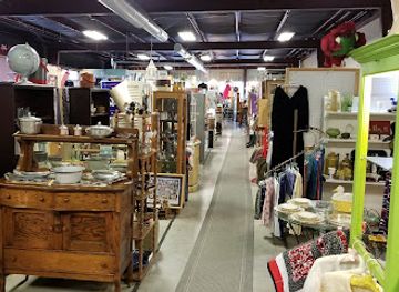 kentucky/lexington/shop/feather-your-nest