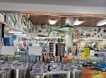 florida/sarasota/siesta-key/shop/green-turtle-shell-gift-city