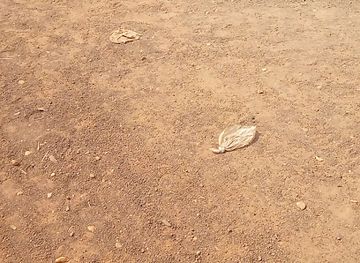 ghana/yendi/shop/pariche-naa-yili-baanjida