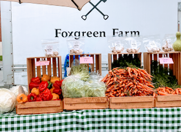 maine/penobscot-county/shop/foxgreen-farm-llc