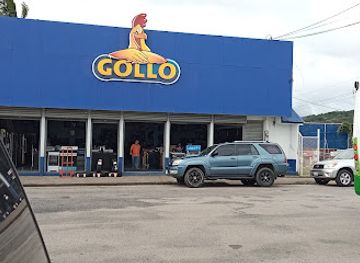 costa-rica/tilaran-range/shop/gollo-tilaran