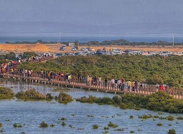 qatar/al-thakira-mangroves/shop/purple-island-beach