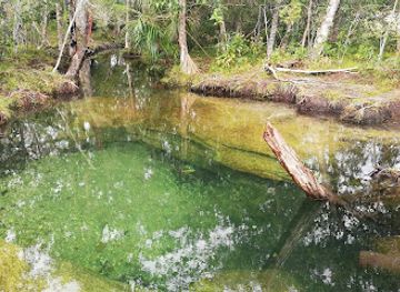 colombia/macarena-range/shop/cano-piedras