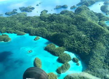 palau/southern-lagoon/shop/milky-way