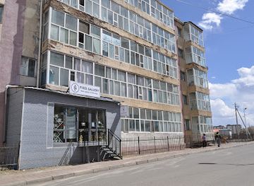 mongolia/khangai-mountains/shop/ulzii-pixel-gallery-book-store