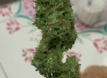 thailand/kanchanaburi/tha-maka/shop/green-shop