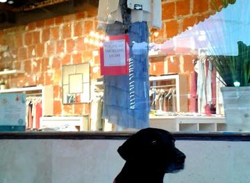 florida/stuart/shop/must-boutique